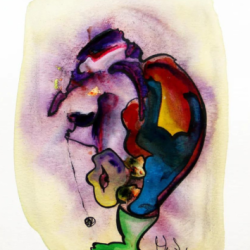 oeuvre-artiste-claire-dubois-aquarelle-oiseau-le-dodo