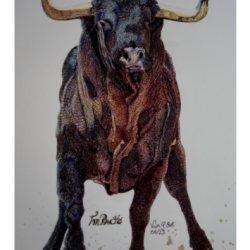 dessin-impacto-taureau-artiste-eva-martinez